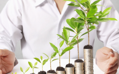 How to Maximize Tax Returns Using Professional Services